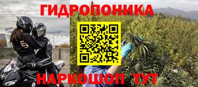 шишки Коммунар